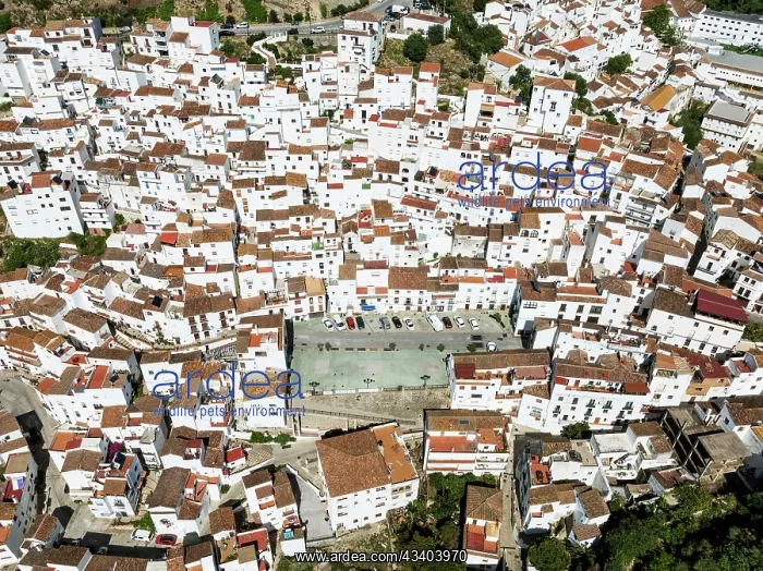 : The brilliant White Town of Casares clings to a : The brilliant White Town of Casares clings to a