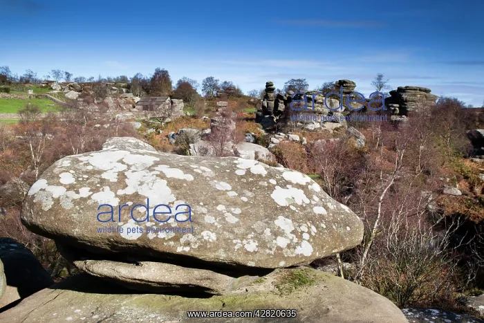  : Brimham Rocks
