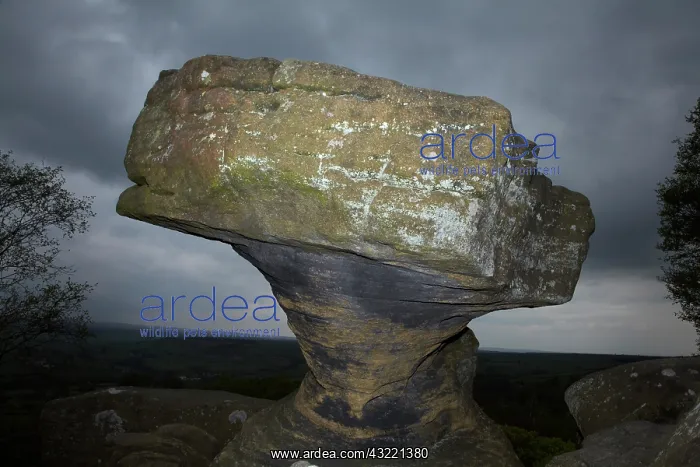 : Brimham Rocks, near Harrogate, Yorkshire : Brimham Rocks, near Harrogate, Yorkshire