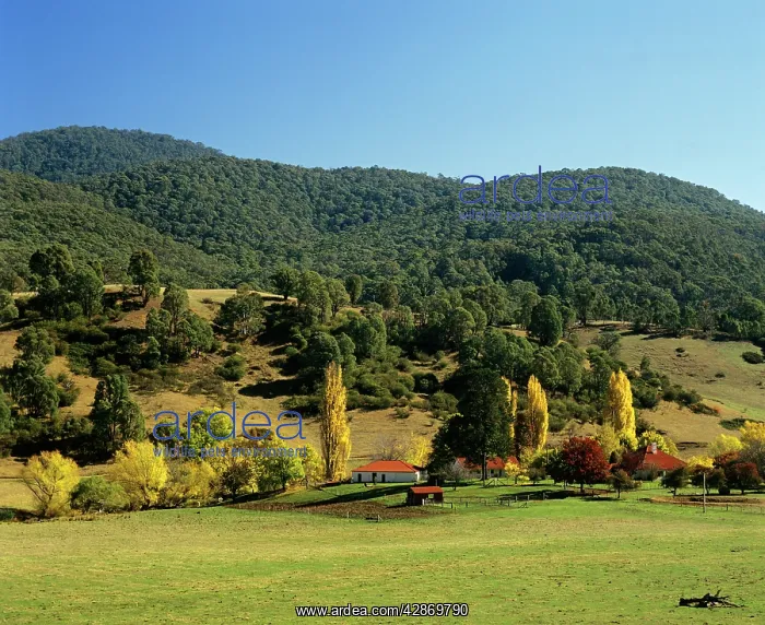 : Brindabella Homestead Brindabella Ranges : Brindabella Homestead Brindabella Ranges