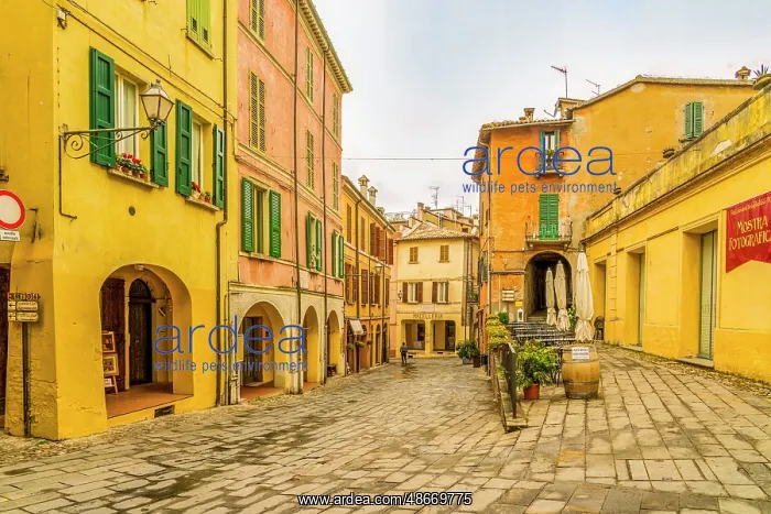 : Brisighella, Emilia Romagna, Italy. Wide angle landscape : Brisighella, Emilia Romagna, Italy. Wide angle landscape