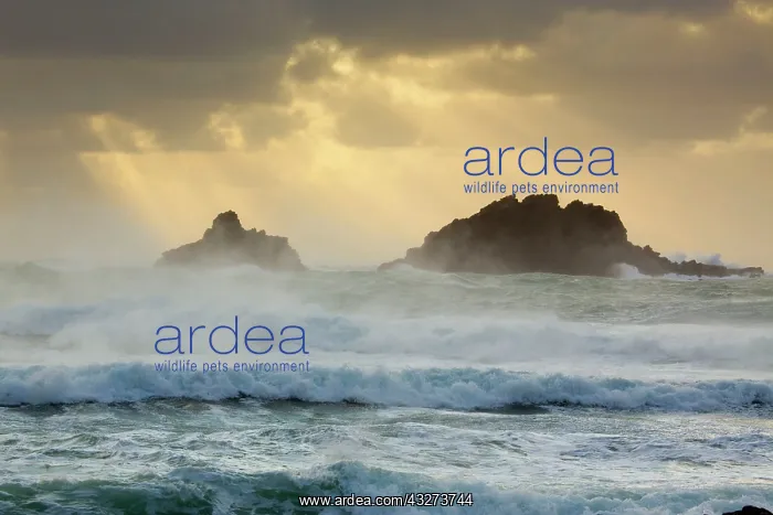 : The Brisons - seascape with waves breaking : The Brisons - seascape with waves breaking