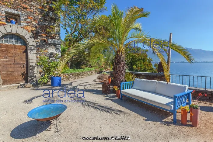 : Brissago Islands - mediterranean-like cozy sitting corner wi : Brissago Islands - mediterranean-like cozy sitting corner wi