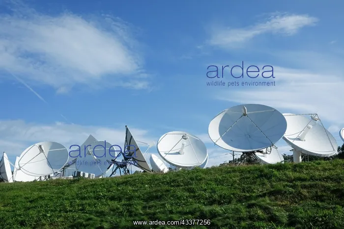 : Bristol, Connecticut, USA Satellite dishes : Bristol, Connecticut, USA Satellite dishes