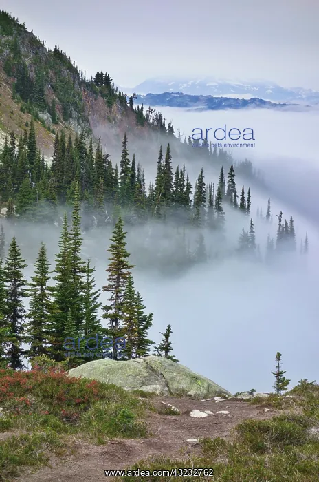 : British Columbia, Whistler. Coming out of : British Columbia, Whistler. Coming out of