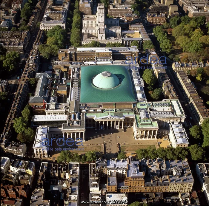  : British Museum, London, England
