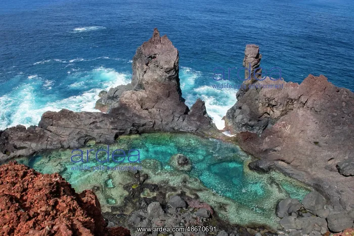 : British Overseas Territory, Pitcairn Island. Saint Paul's : British Overseas Territory, Pitcairn Island. Saint Paul's