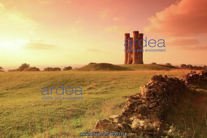 : Broadway Tower - at sunset : Broadway Tower - at sunset