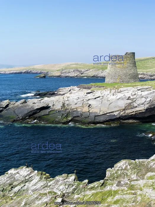 : Broch of Mousa on the isle of Mousa, Scotland : Broch of Mousa on the isle of Mousa, Scotland