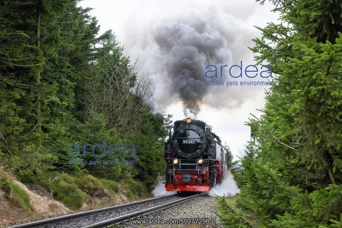 : Brocken Railway : Brocken Railway