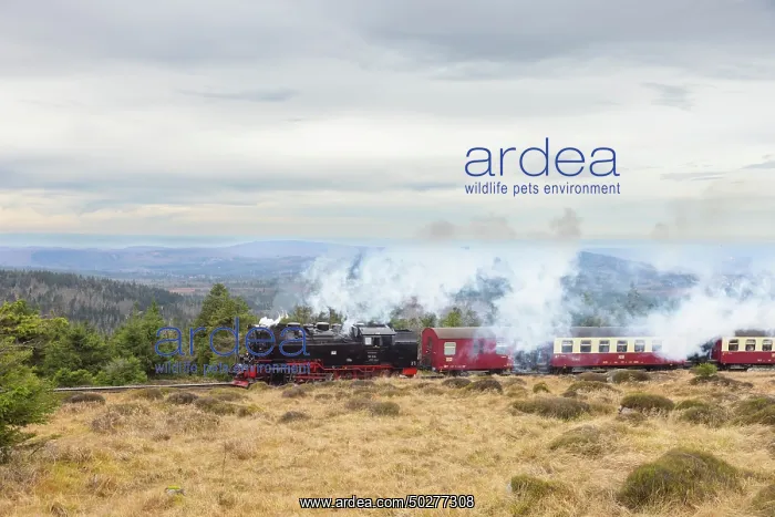 : Brocken Railway : Brocken Railway