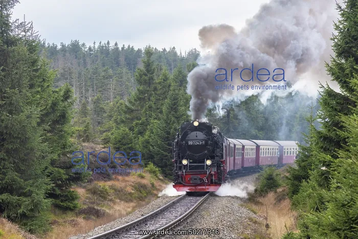 : Brocken Railway : Brocken Railway