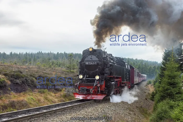 : Brocken Railway : Brocken Railway