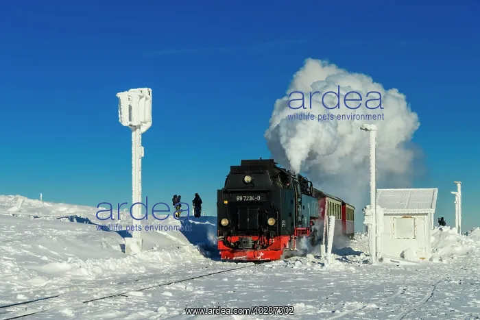 : Brocken Railway travels through snowy landscape : Brocken Railway travels through snowy landscape