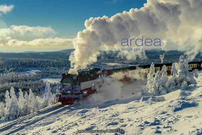 : Brocken Railway travels through snowy landscape : Brocken Railway travels through snowy landscape