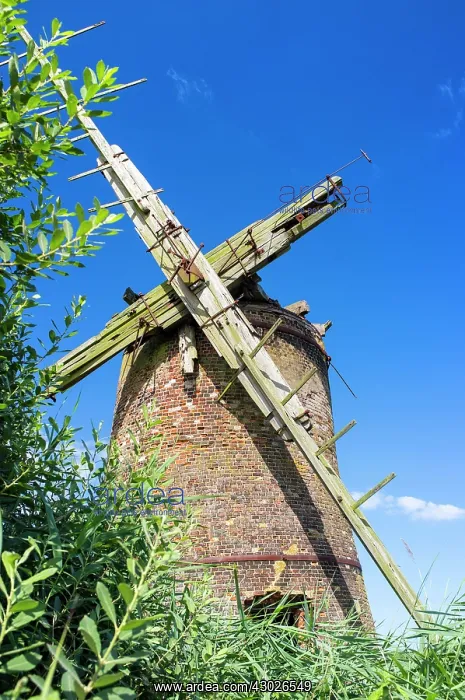 : Brograve Mill : Brograve Mill