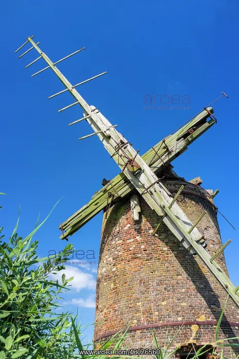: Brograve Mill : Brograve Mill