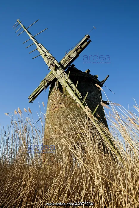 : Brograve Drainage Mill - derelict drainage mill : Brograve Drainage Mill - derelict drainage mill