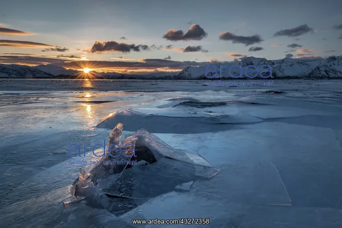 : Broken ice, frozen fjord with mountains at sunset : Broken ice, frozen fjord with mountains at sunset