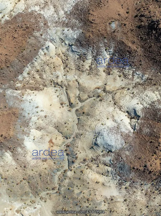 : Broken, rocky ground with sparse vegetation : Broken, rocky ground with sparse vegetation