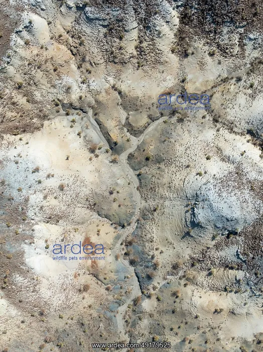 : Broken, rocky ground with sparse vegetation : Broken, rocky ground with sparse vegetation