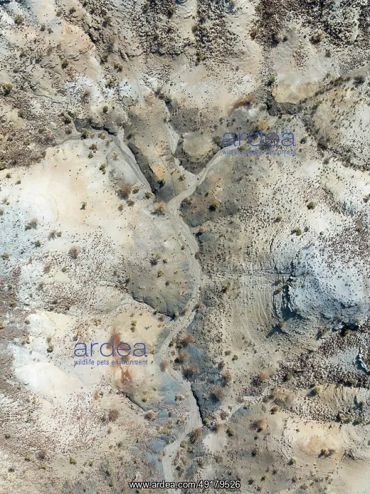 : Broken, rocky ground with sparse vegetation : Broken, rocky ground with sparse vegetation