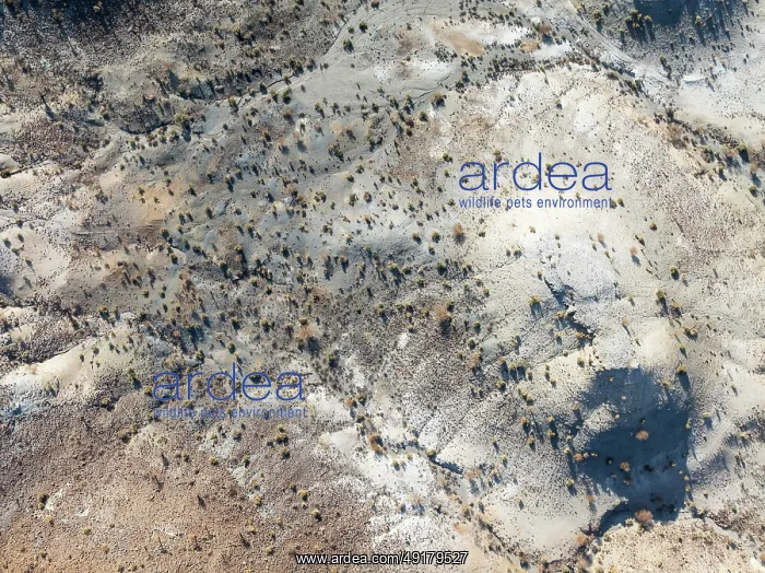 : Broken, rocky ground with sparse vegetation : Broken, rocky ground with sparse vegetation