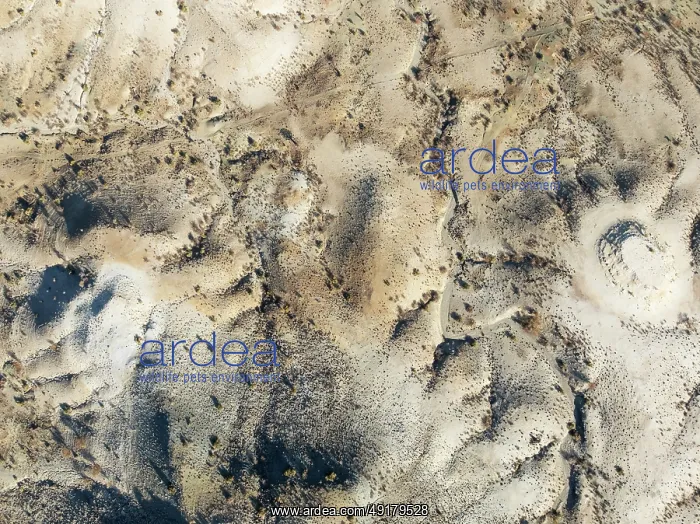 : Broken, rocky ground with sparse vegetation : Broken, rocky ground with sparse vegetation