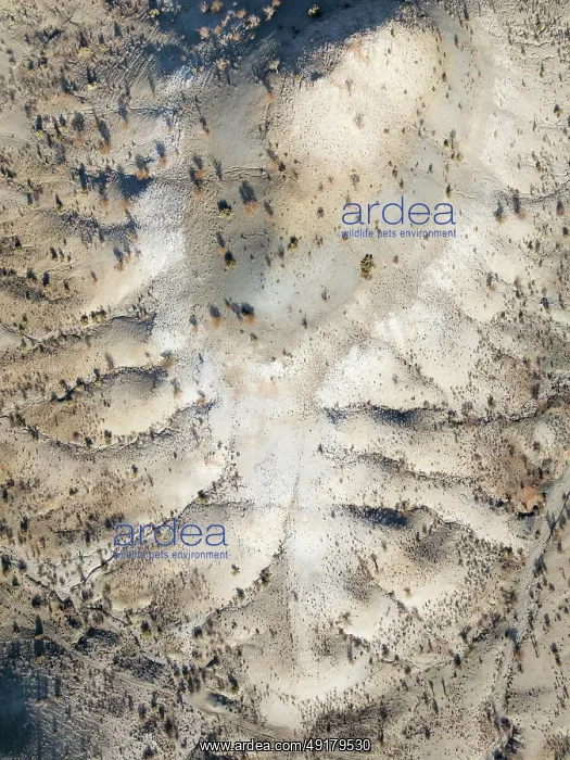 : Broken, rocky ground with sparse vegetation : Broken, rocky ground with sparse vegetation