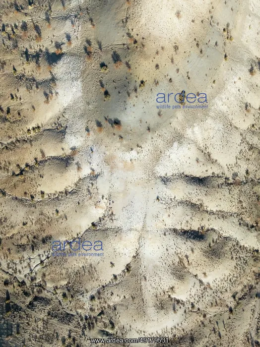: Broken, rocky ground with sparse vegetation : Broken, rocky ground with sparse vegetation