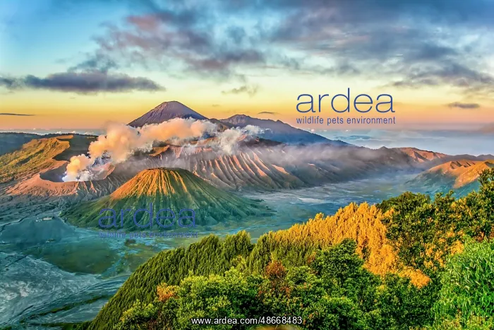 : Bromo-National Park, Java, Indonesia. Wide angle landscape : Bromo-National Park, Java, Indonesia. Wide angle landscape