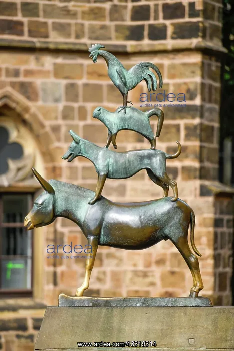 : Bronze sculpture, Bremen Town Musicians, Schoppensteel : Bronze sculpture, Bremen Town Musicians, Schoppensteel
