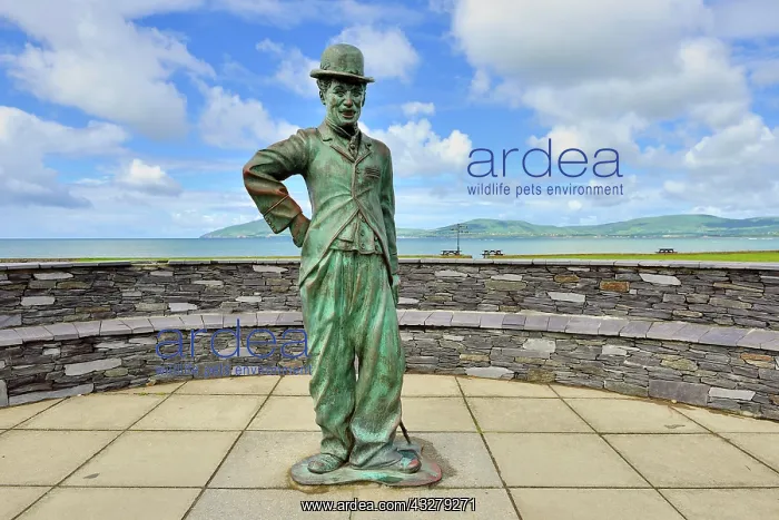 : Bronze statue of Charlie Chaplin, Waterville, Ring : Bronze statue of Charlie Chaplin, Waterville, Ring