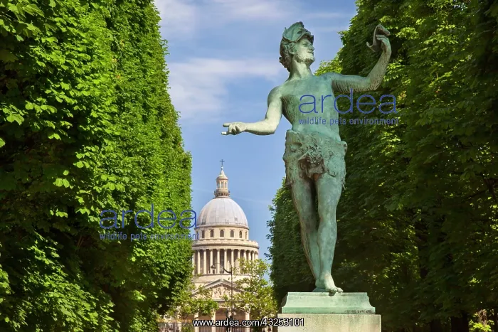 : Bronze statue l'acteur Grec (the Greek Actor) : Bronze statue l'acteur Grec (the Greek Actor)