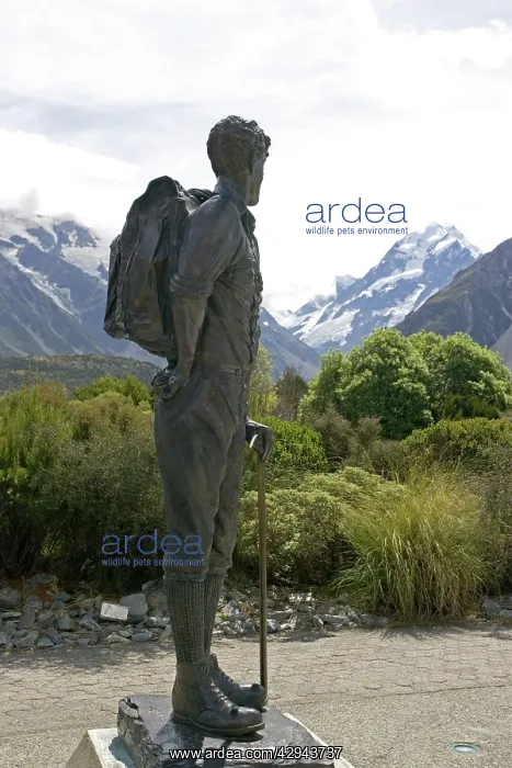 : Bronze statue of Sir Edmund Hillary against snow : Bronze statue of Sir Edmund Hillary against snow