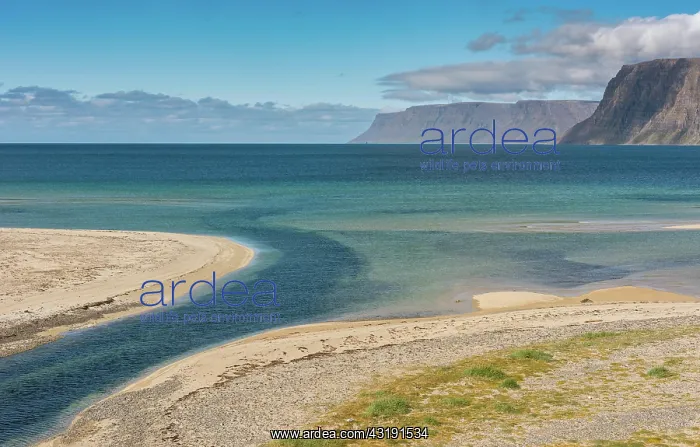 : Brook, beach and cliffs, 'nrlygshnfn, PatreksfjnrEur : Brook, beach and cliffs, 'nrlygshnfn, PatreksfjnrEur