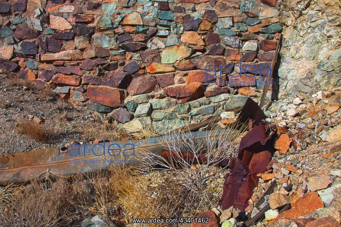 : Brooklyn Mine Road, Old Dale Mining District, Mojave : Brooklyn Mine Road, Old Dale Mining District, Mojave