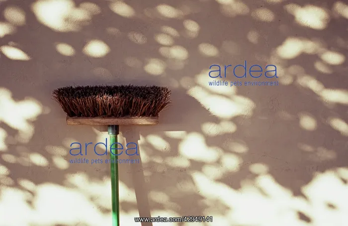 : Broom : Broom