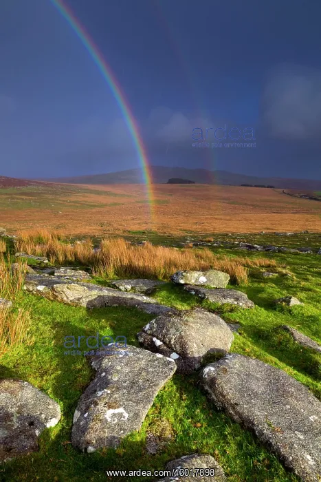 : Brown Willy with Rainbow : Brown Willy with Rainbow