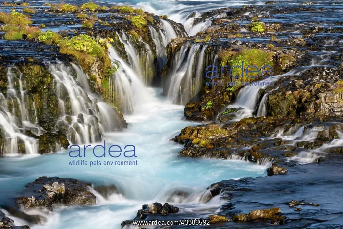 : Bruarfoss waterfall in summer, South Iceland, Iceland, E : Bruarfoss waterfall in summer, South Iceland, Iceland, E