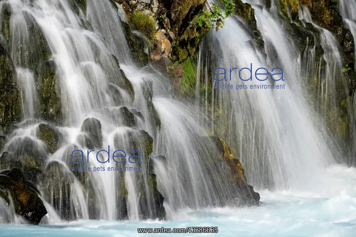 : Bruarfoss waterfall in summer, South Iceland, Iceland, E : Bruarfoss waterfall in summer, South Iceland, Iceland, E