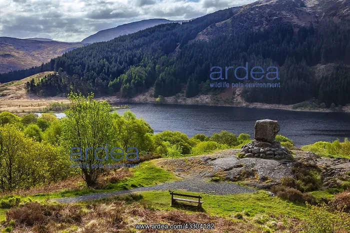 : Bruce's Stone - a large famous granite boulder : Bruce's Stone - a large famous granite boulder