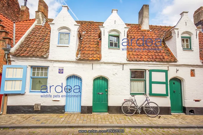  : Bruges, Belgium. Wide angle view of cobbled streets and