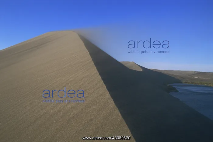 : Bruneau Dunes, Idaho : Bruneau Dunes, Idaho