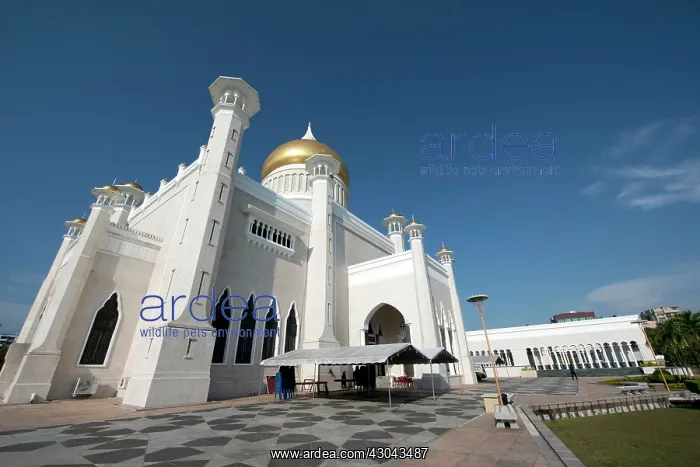  : Brunei Mosque