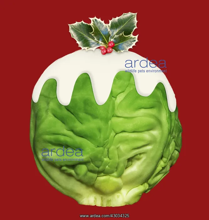  : Brussel Sprout Christmas pudding