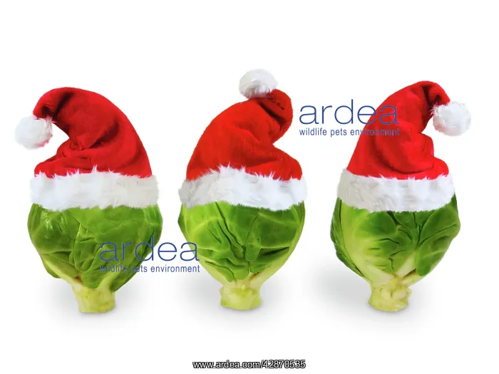: Brussel Sprouts - in Christmas hats : Brussel Sprouts - in Christmas hats