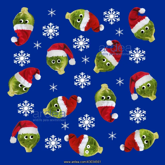 : Brussel Sprouts, with Christmas hats, googly : Brussel Sprouts, with Christmas hats, googly