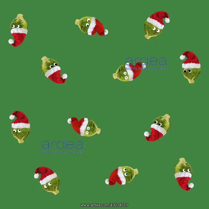 : Brussel Sprouts, with Christmas hats and googly eyes : Brussel Sprouts, with Christmas hats and googly eyes