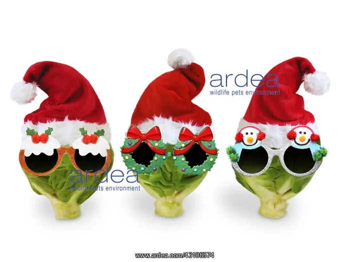: Brussel Sprouts wearing Christmas hats and glasses : Brussel Sprouts wearing Christmas hats and glasses
